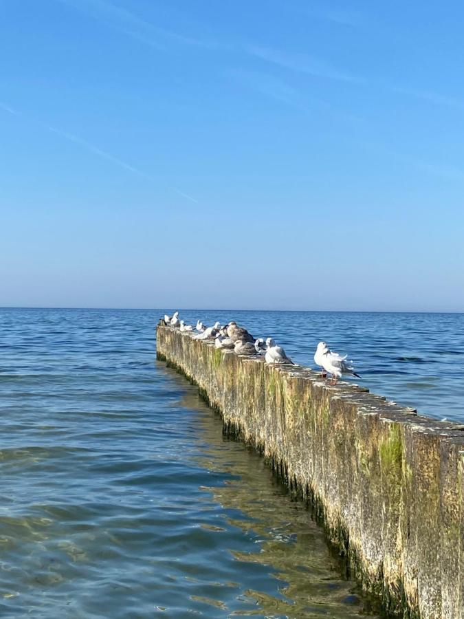 Apartament Kolobrzeg Resort Екстер'єр фото